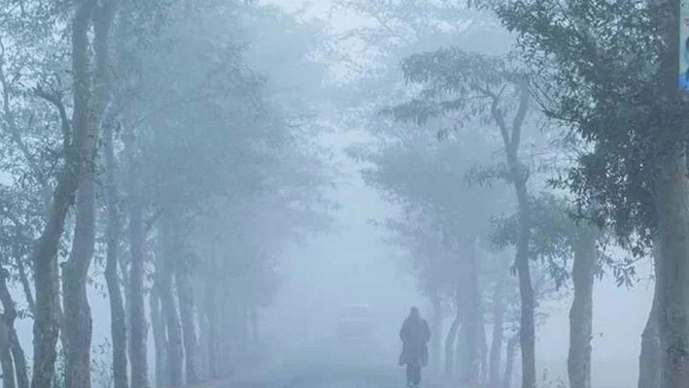 এমন কুয়াশা কতদিন থাকতে পারে জানাল আবহাওয়া অফিস