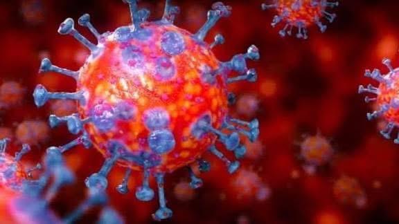 প্রযুক্তি আর মহামারী: ১জি থেকে ৫জি পর্যন্ত অদ্ভুত কাকতালীয় মিল!